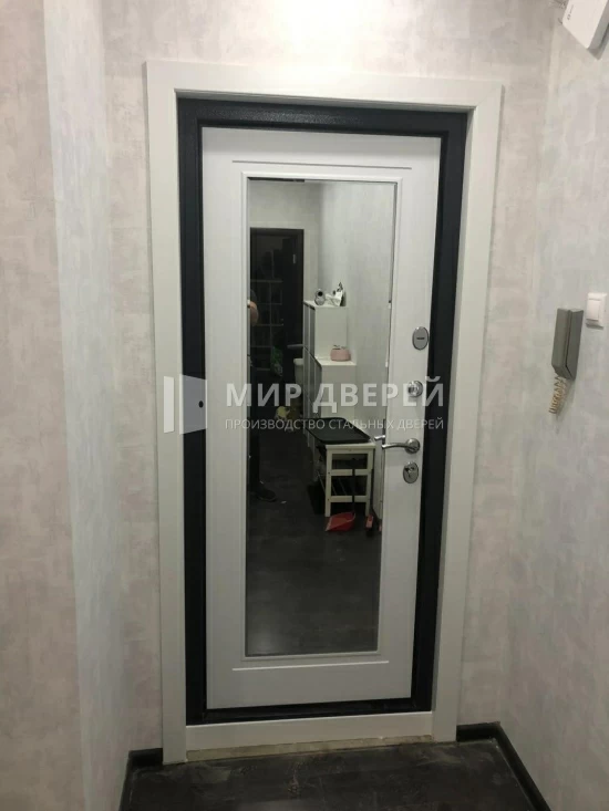 Фото двери № 433